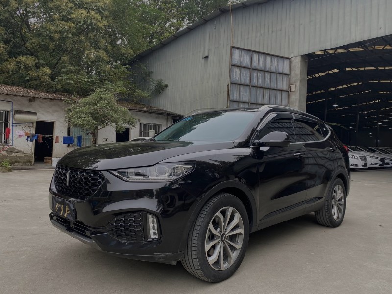 成都19年长城VV69