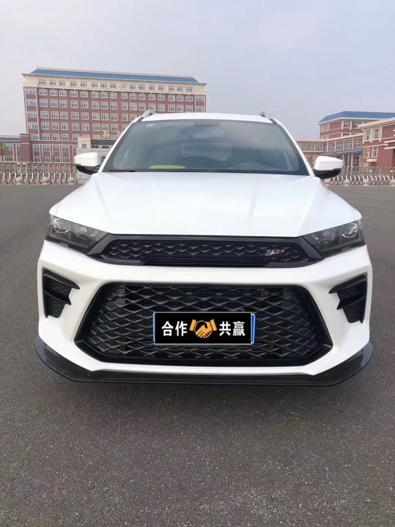 滄州20年SWM斯威汽車G012