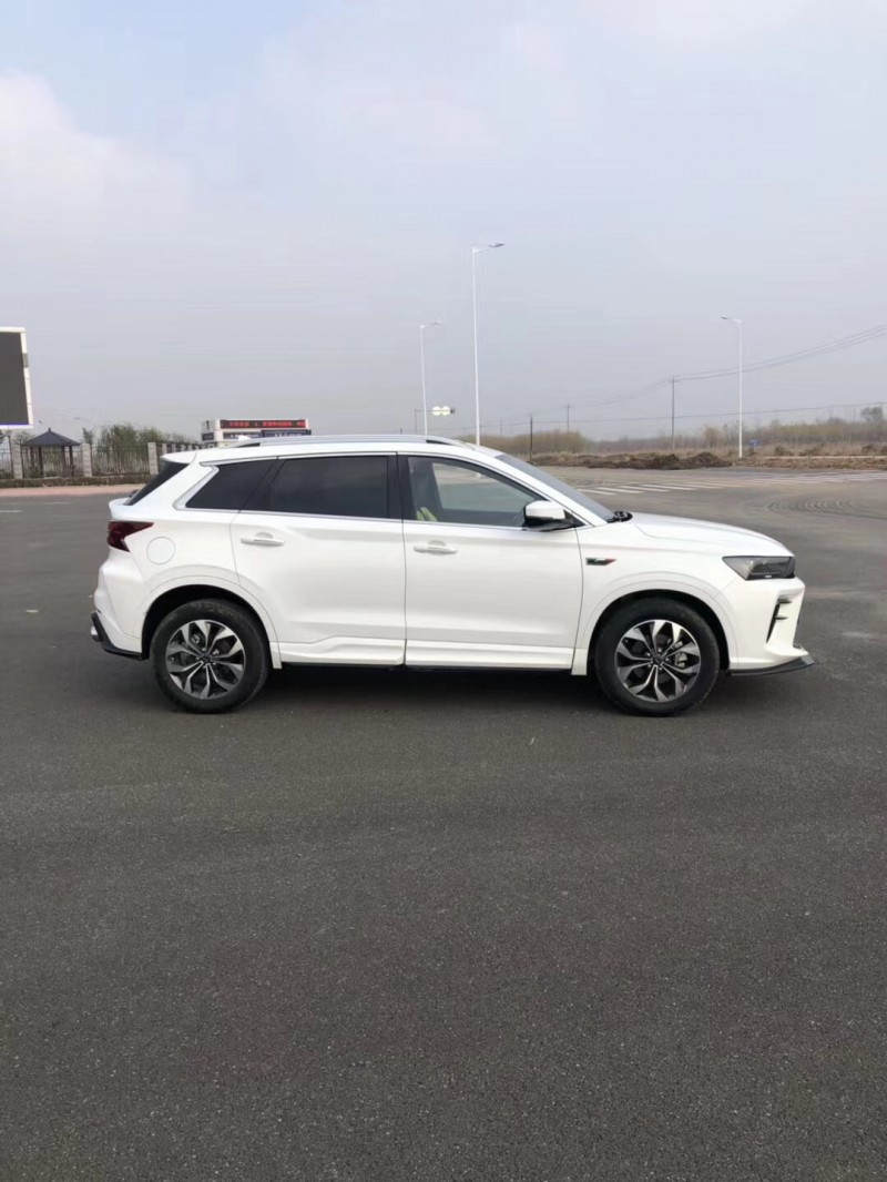 滄州20年SWM斯威汽車G014