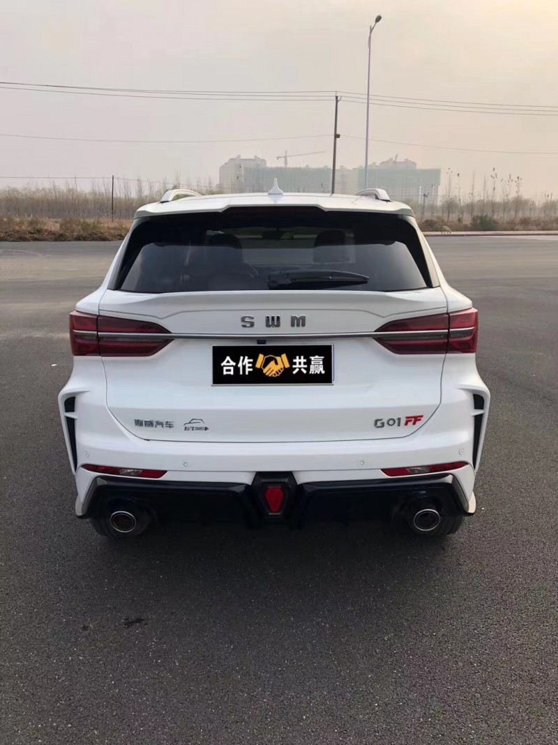 滄州20年SWM斯威汽車G016