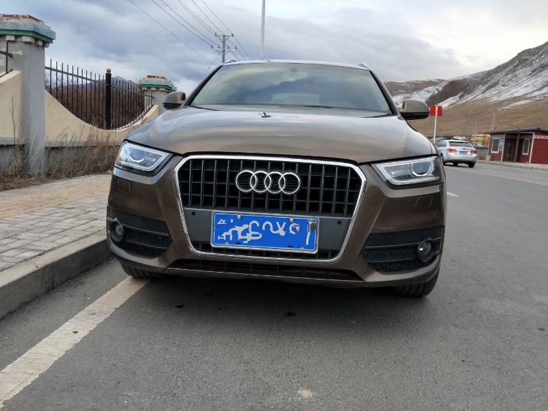 玉樹14年奧迪Q36