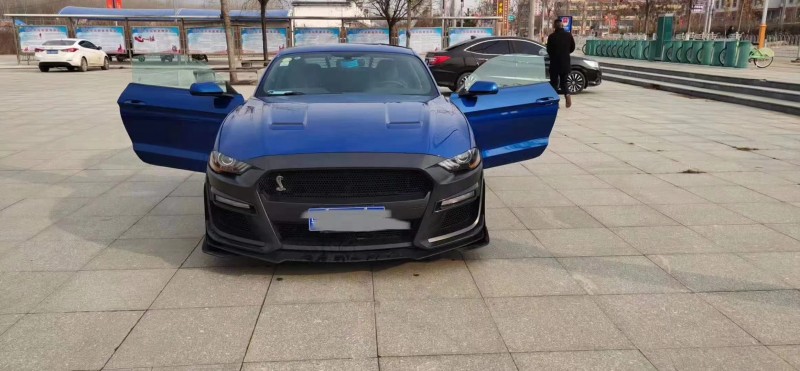 济宁18年福特野马1