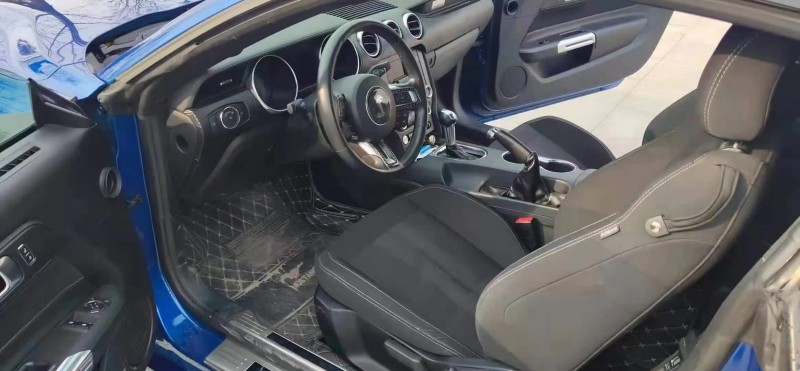 济宁18年福特野马9