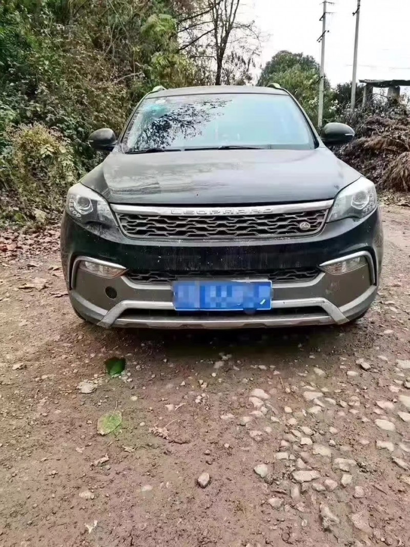 岳陽15年獵豹汽車CS106