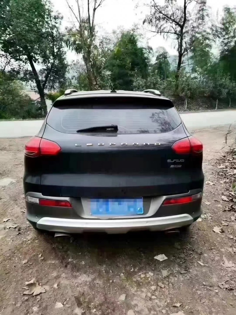 岳陽15年獵豹汽車CS101