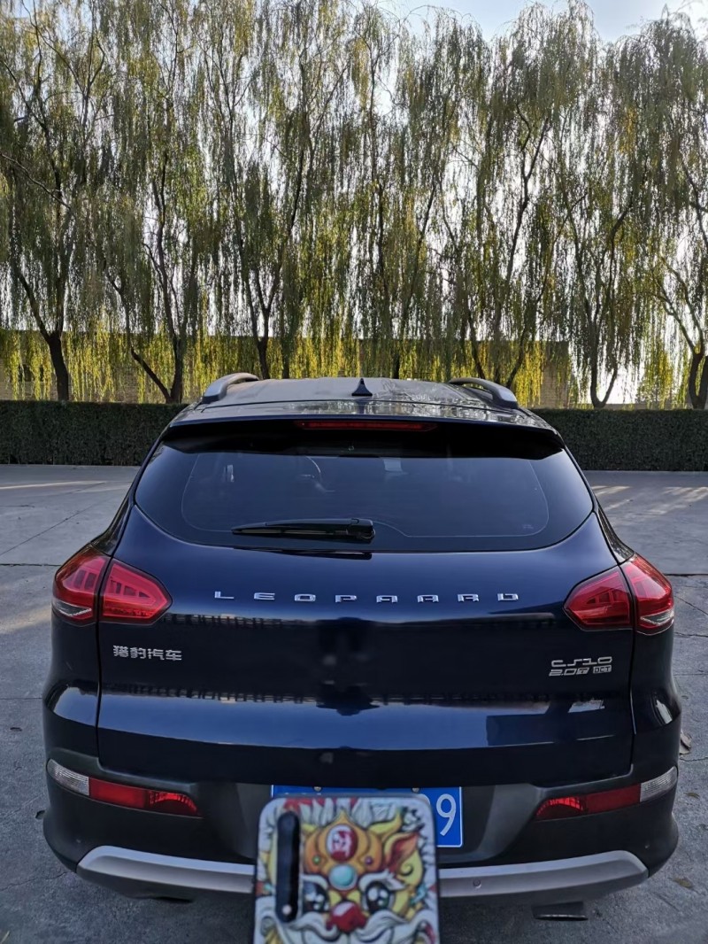 運城17年獵豹汽車CS103