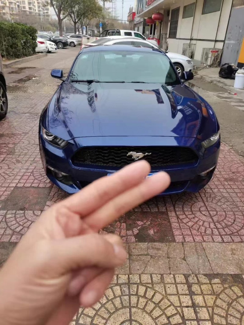 临沂15年福特野马8