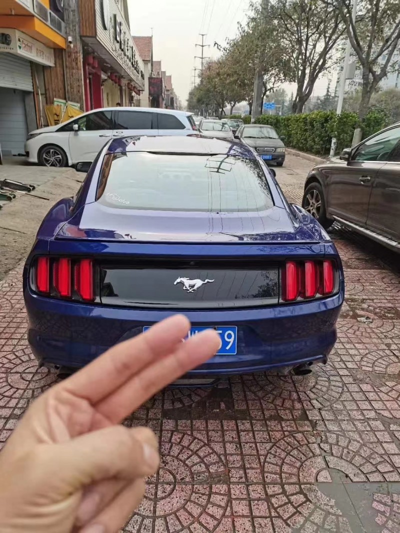 临沂15年福特野马4