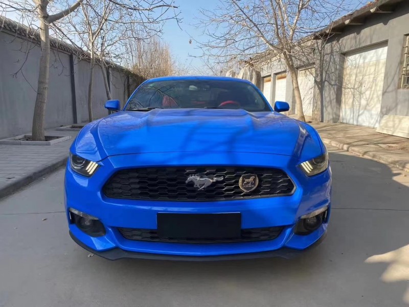 保定15年福特野马5