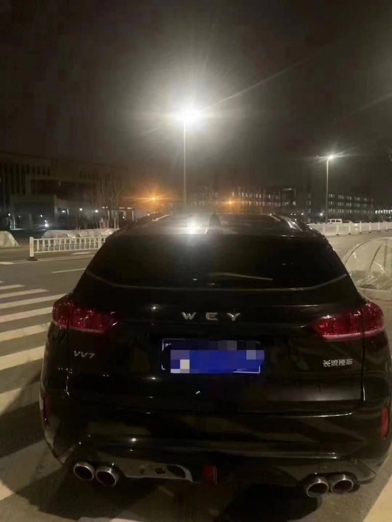 日照18年長城VV79