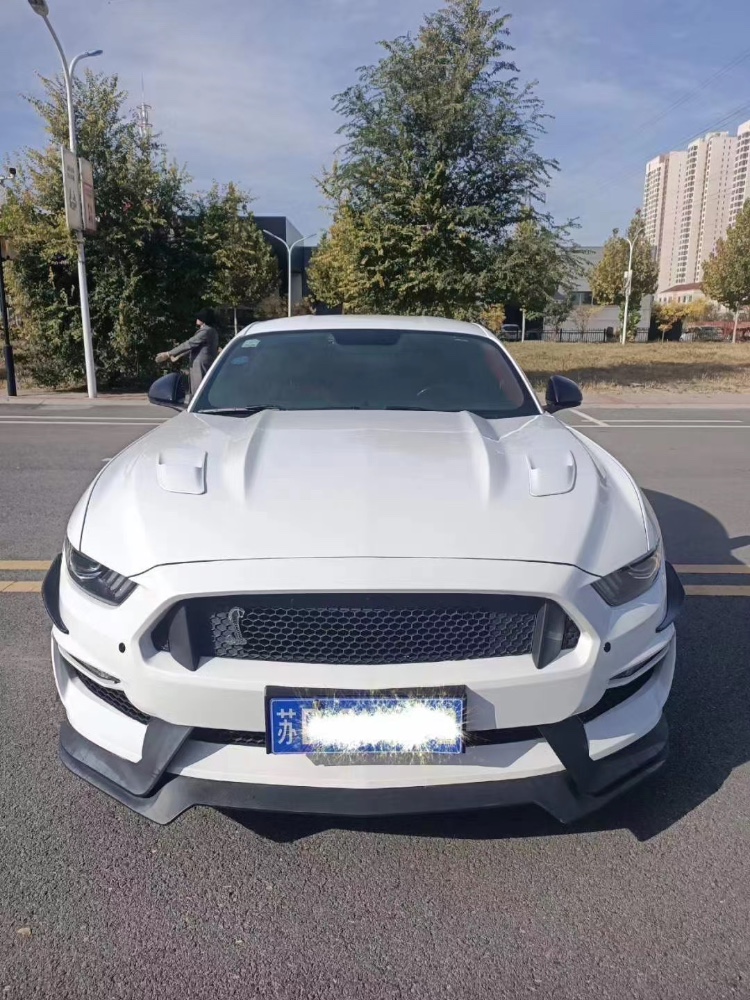 徐州16年福特野马8