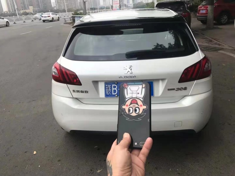 贛州15年標致3085