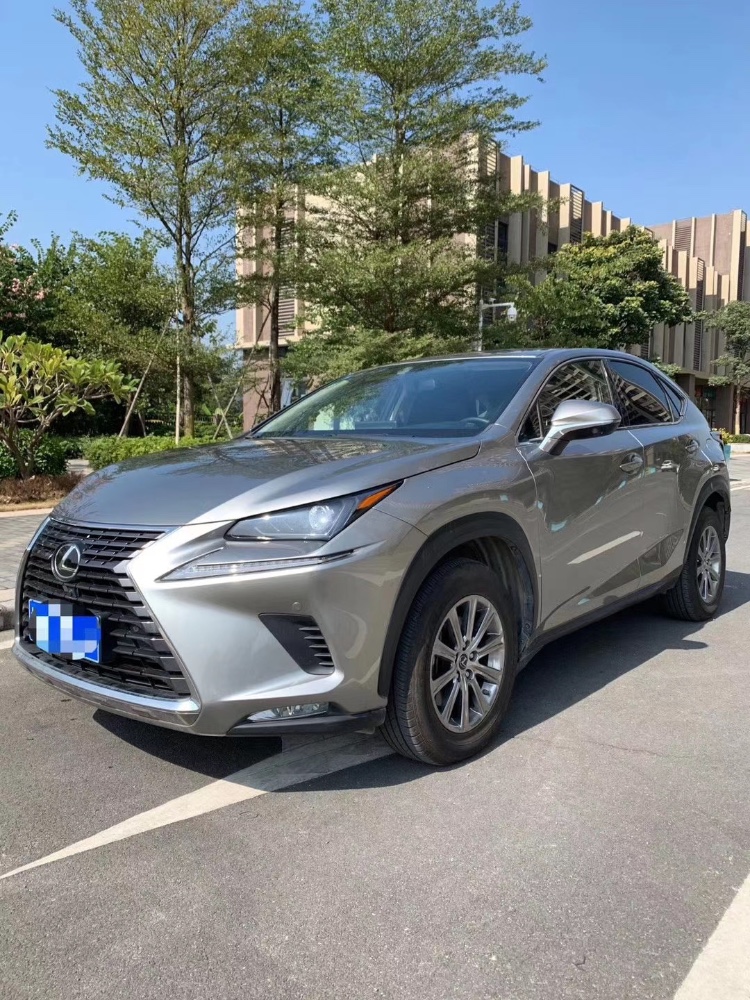 广州19年雷克萨斯NX6