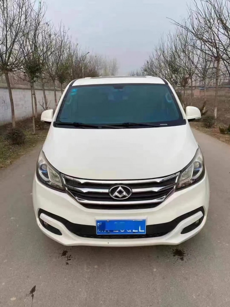 北京16年大通G101