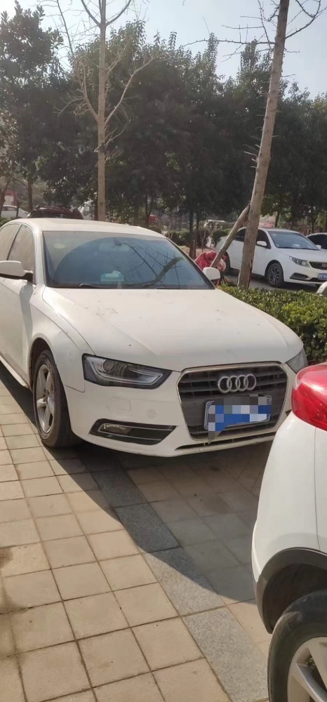 保定13年奥迪A4L1