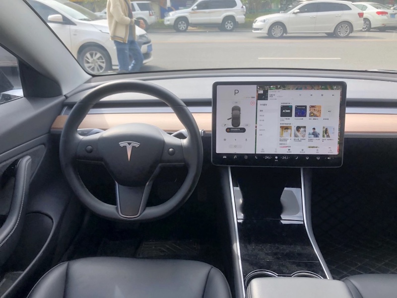 廣州19年特斯拉MODEL 34