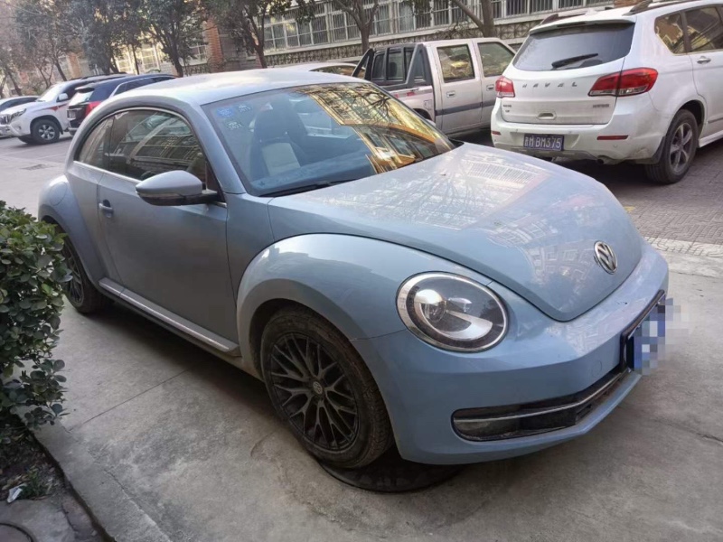 大同15年大眾甲殼蟲5
