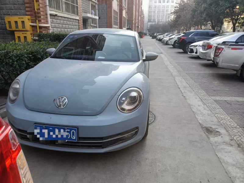 大同15年大眾甲殼蟲6