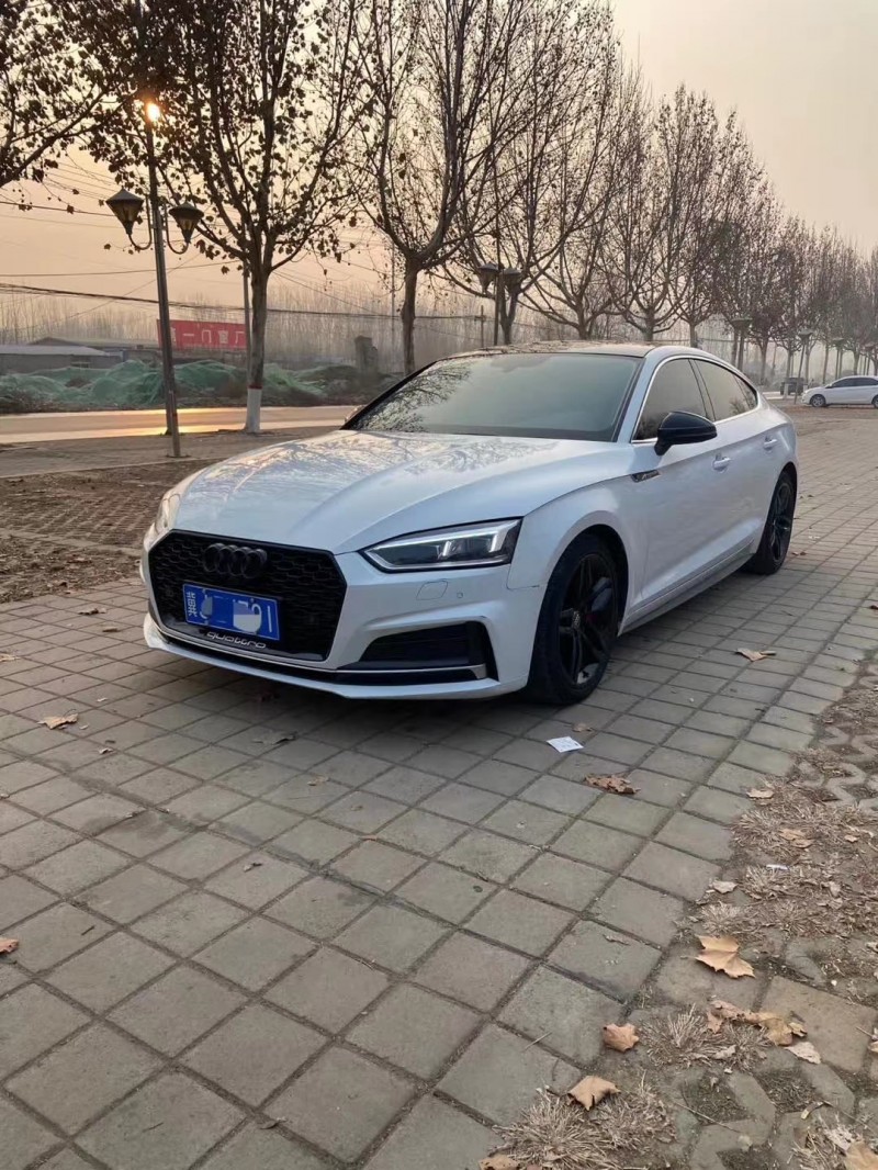 济南17年奥迪A58