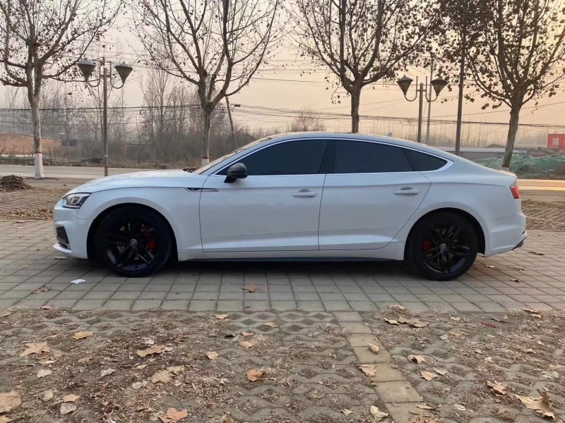 济南17年奥迪A52