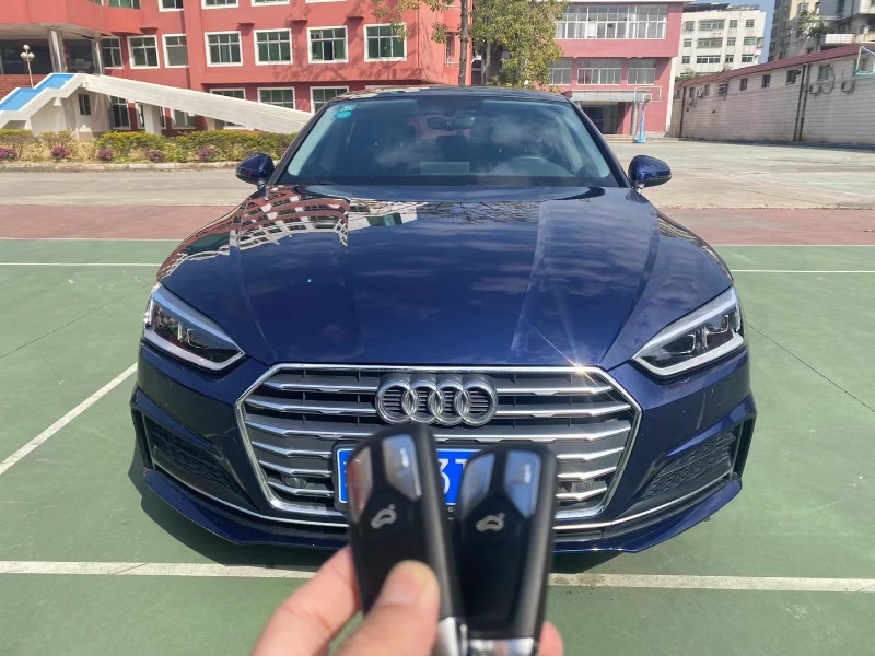 广州19年奥迪A51