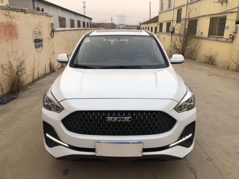 日照20年长城哈佛M61