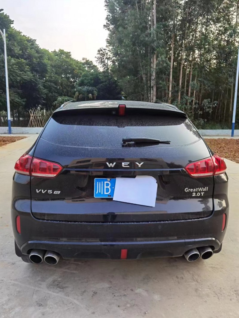 鶴壁17年長城VV5S4