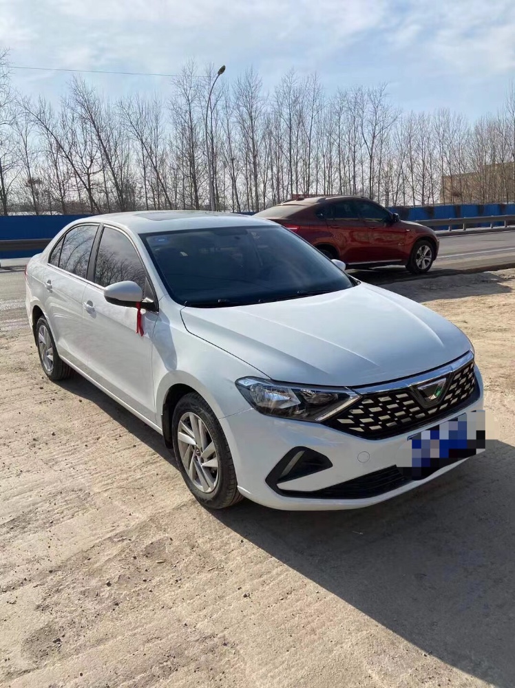 济南20年大众捷达8