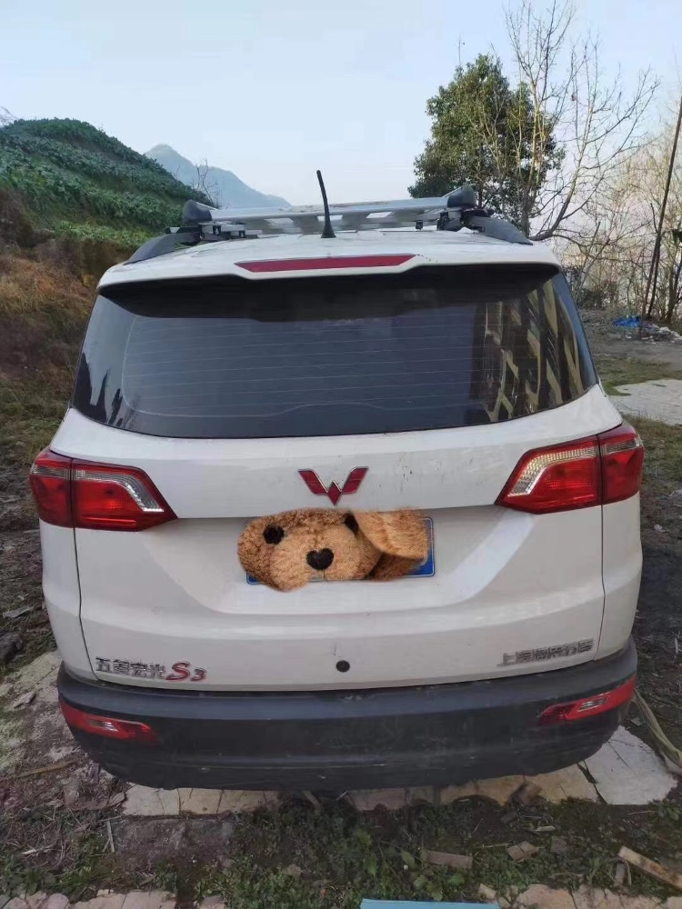成都19年五菱汽車五菱宏光S35