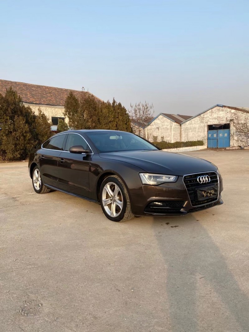 北京13年奥迪A52