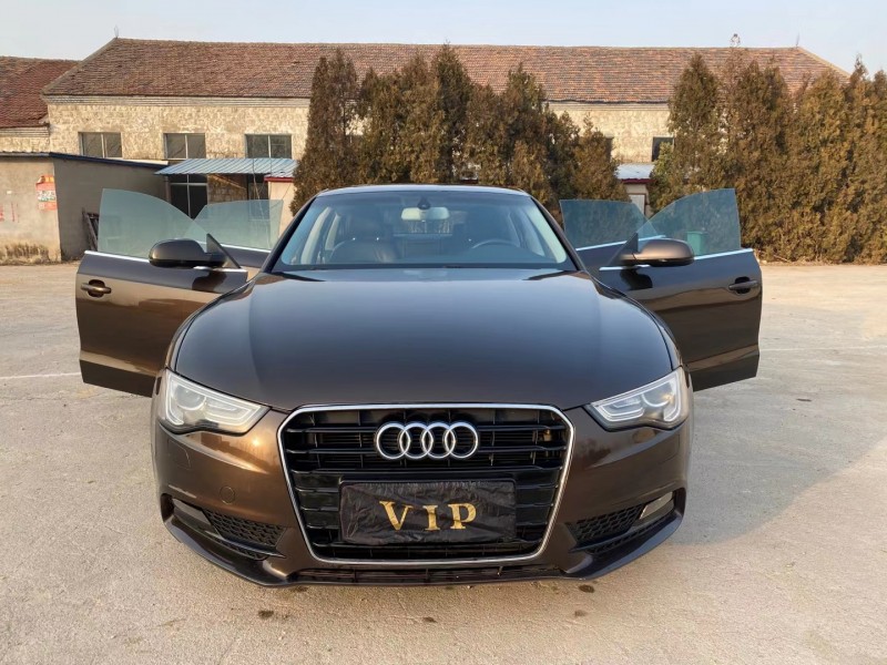 北京13年奥迪A51