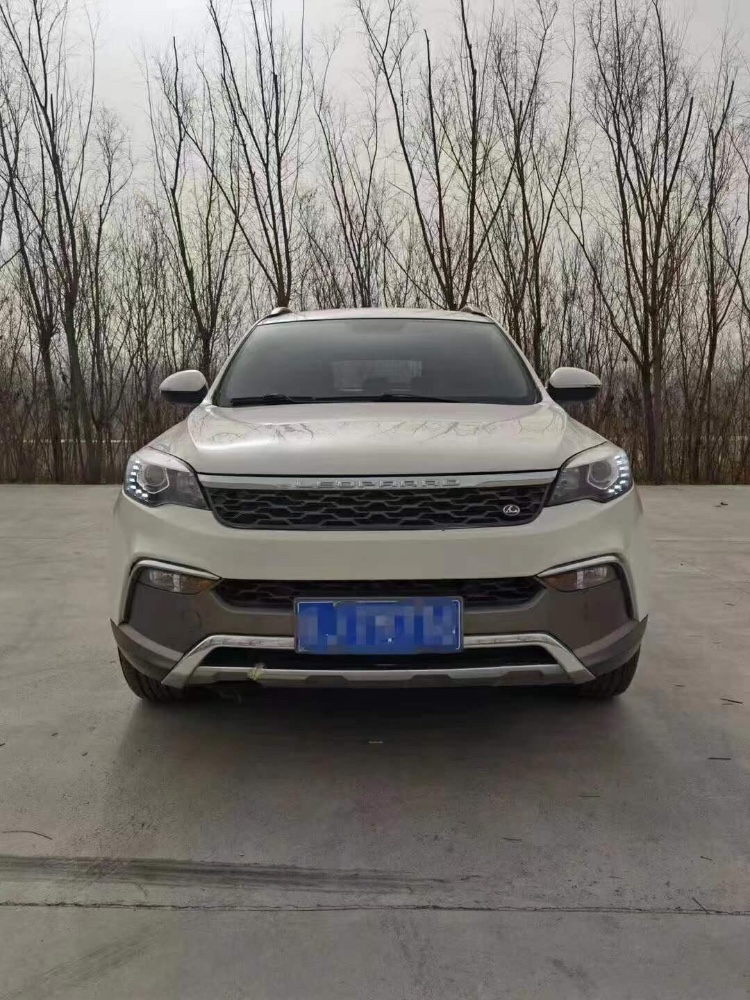 太原17年獵豹汽車CS102