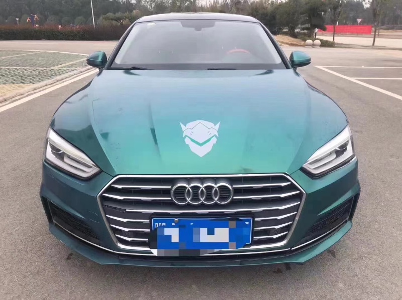 宜昌18年奧迪A51