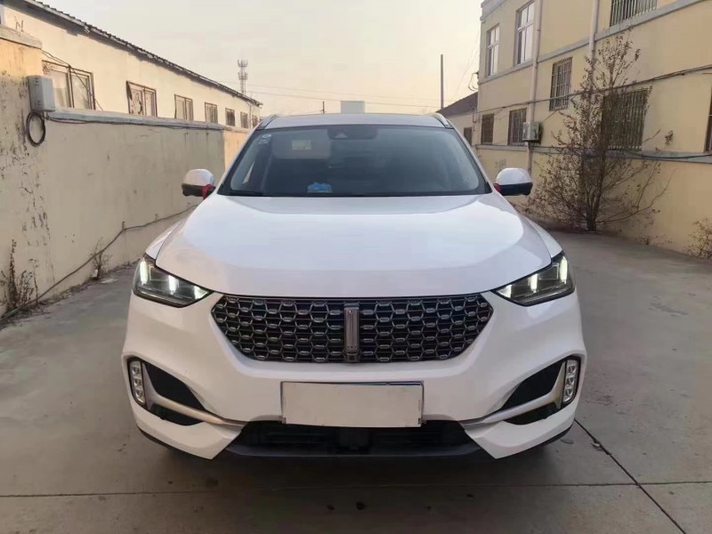 潍坊20年长城VV61