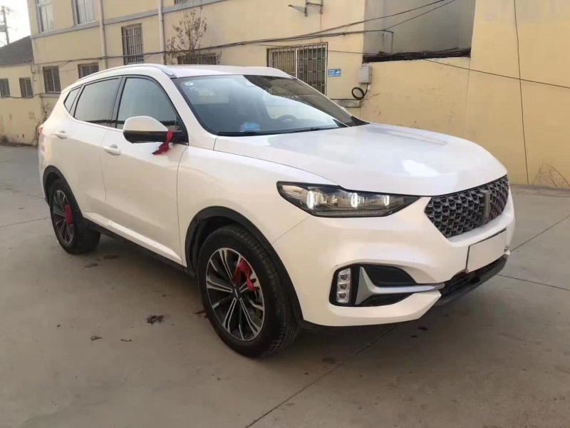 潍坊20年长城VV63