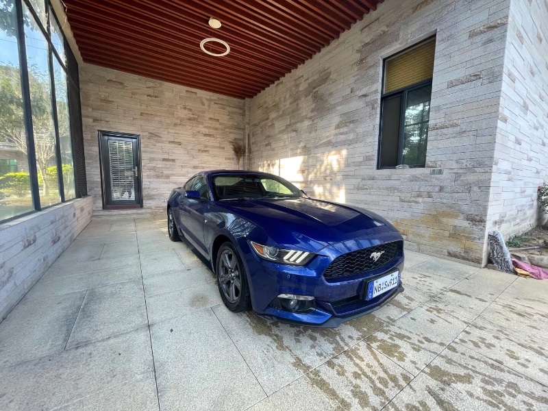 广州16年福特野马2