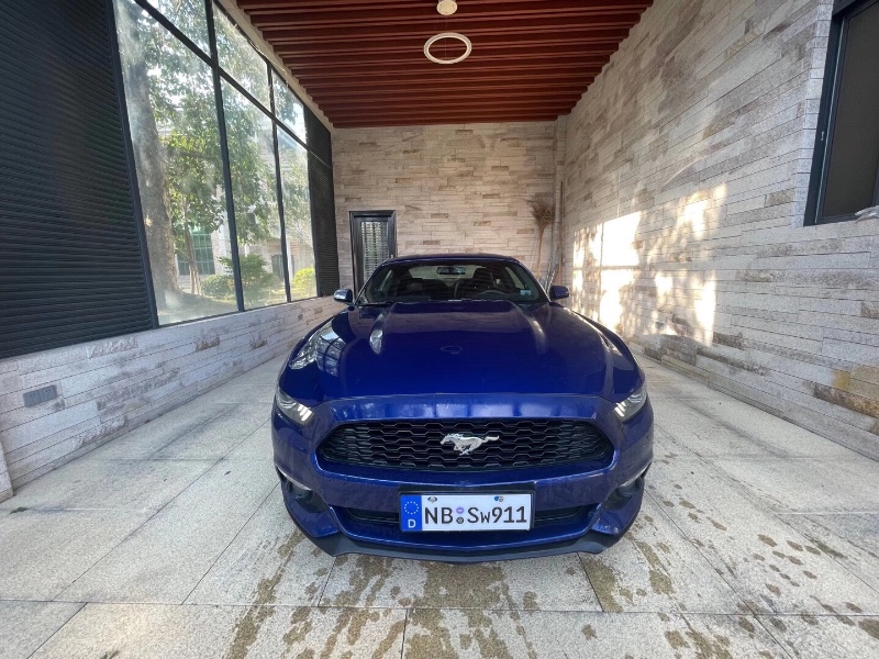 广州16年福特野马1