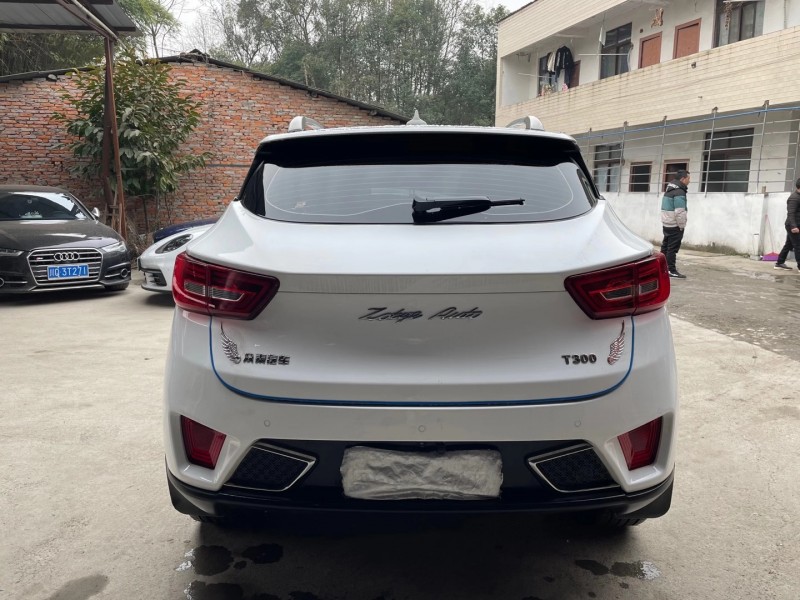 成都19年众泰T3009