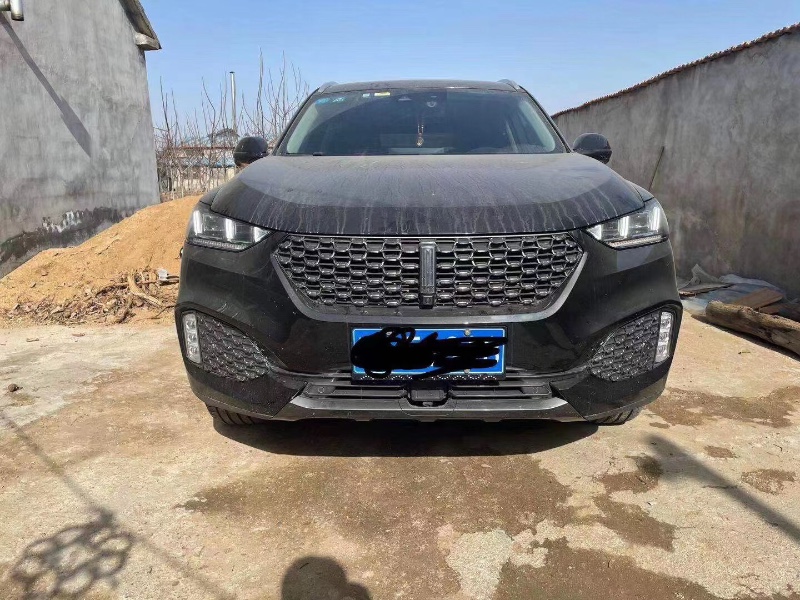 济南20年长城VV61