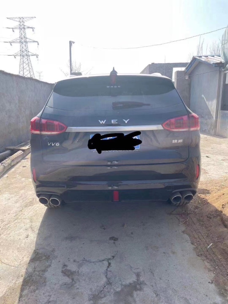 济南20年长城VV69