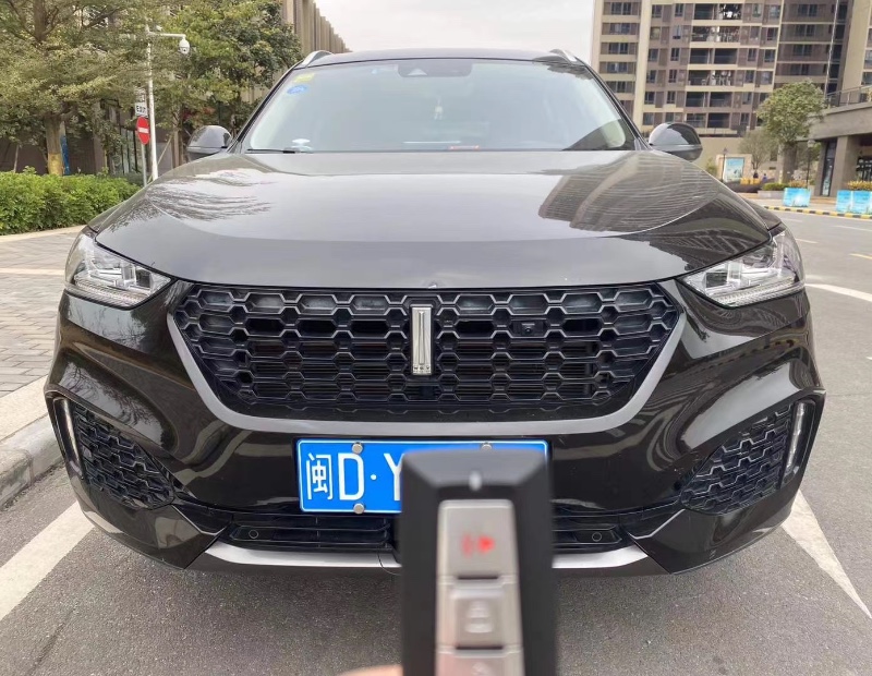 广州18年长城VV61