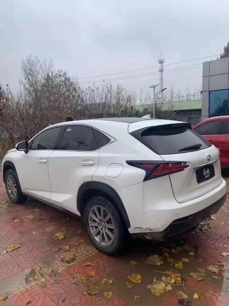 枣庄16年雷克萨斯NX9