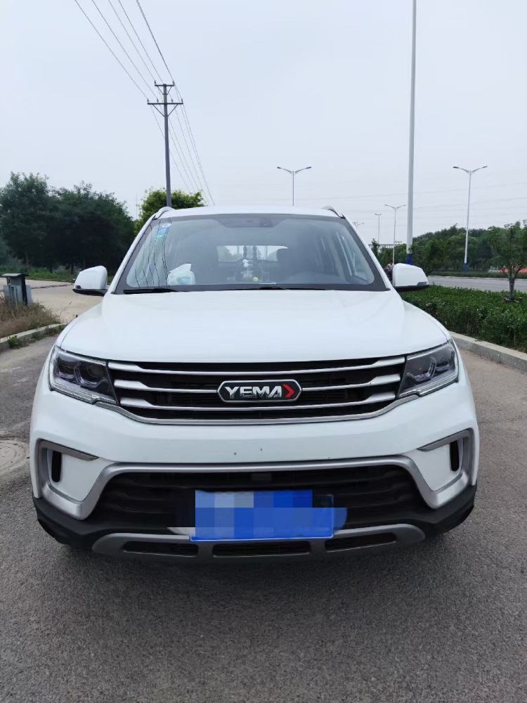 保定20年野馬汽車T701