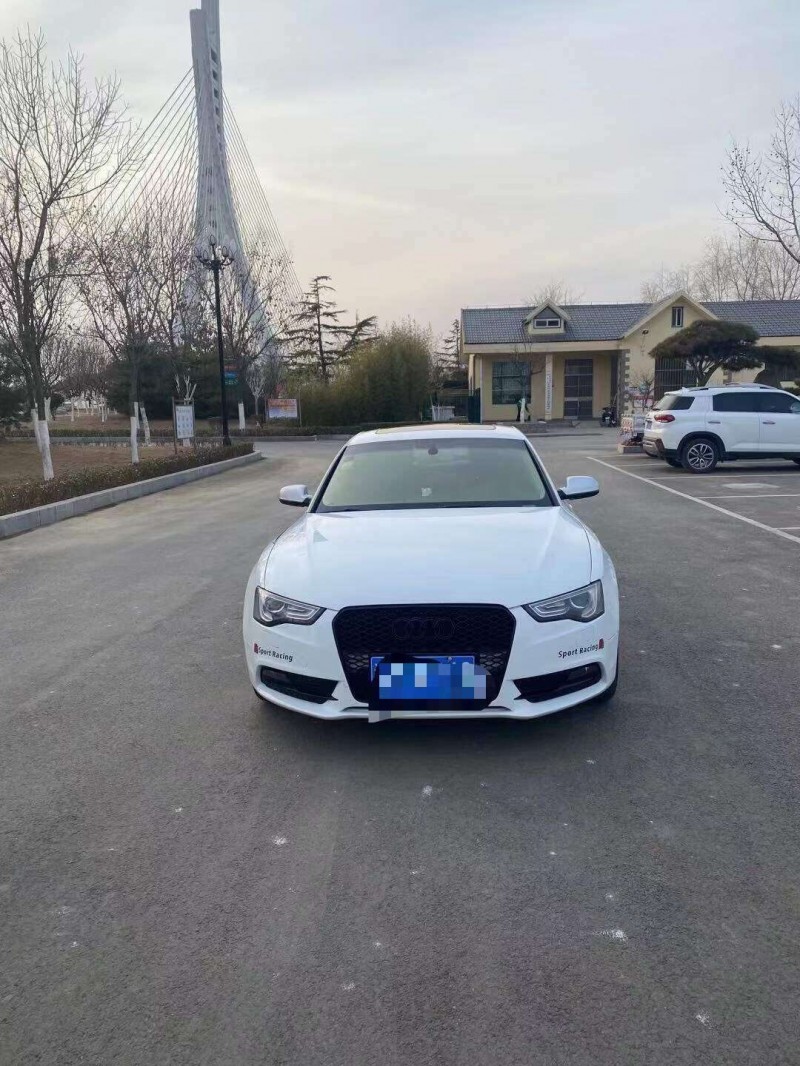 临沂14年奥迪A51