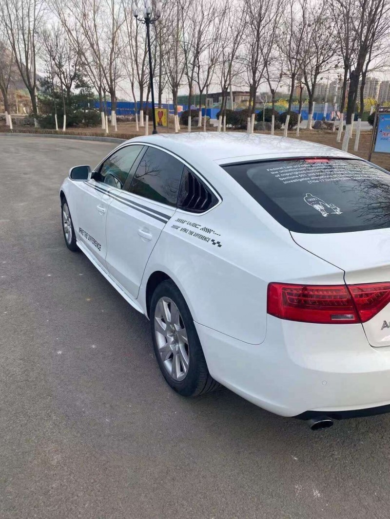 临沂14年奥迪A59
