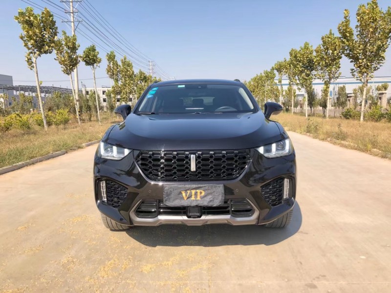 徐州17年長城VV51