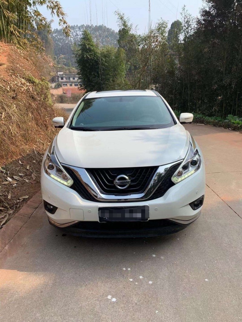 樂山19年日產樓蘭1