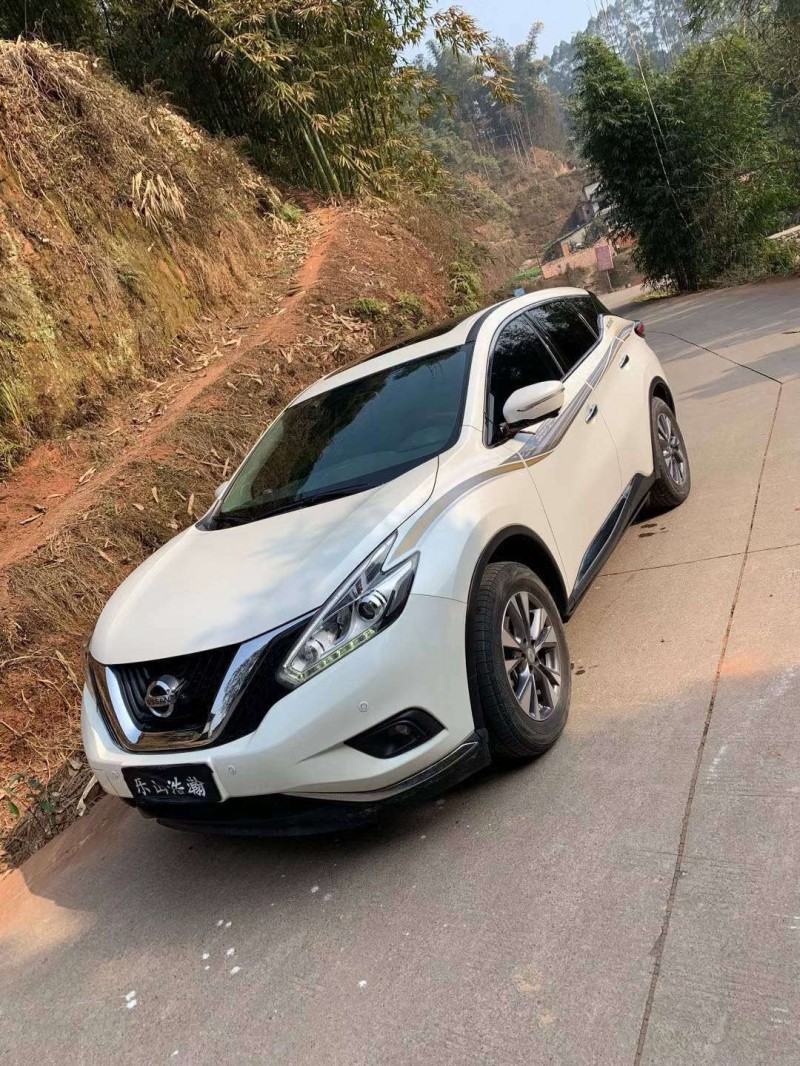 樂山19年日產樓蘭2