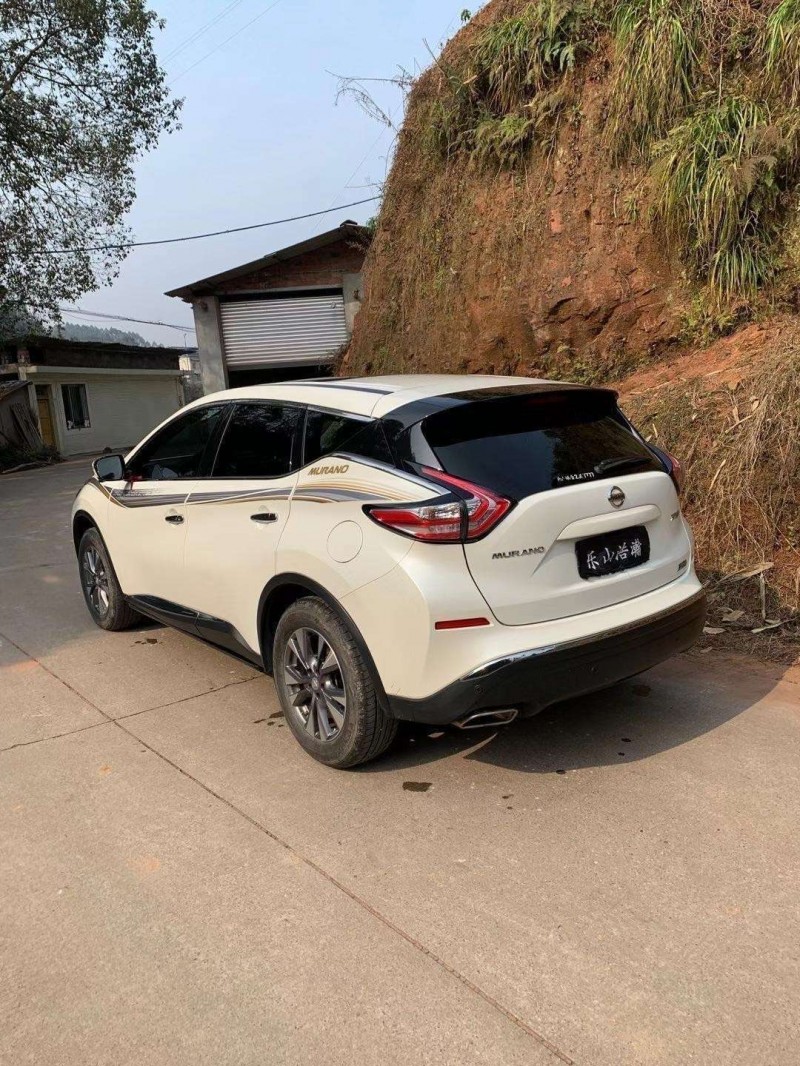 樂山19年日產樓蘭6