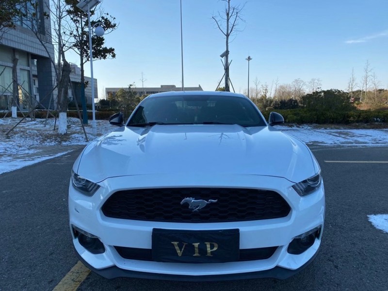 盐城15年福特野马1